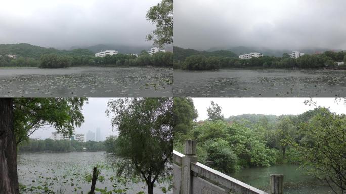 4K烟雨湖面下雨