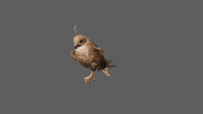 【4K.60帧】—可爱的小鸟