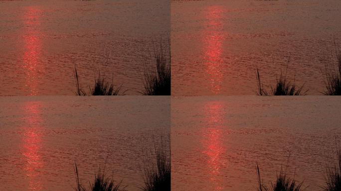 4K日出后的红色江面河面02