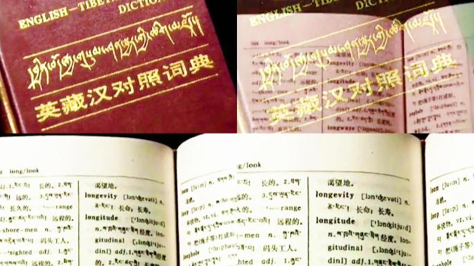 英藏汉对照字典 字典 80年代