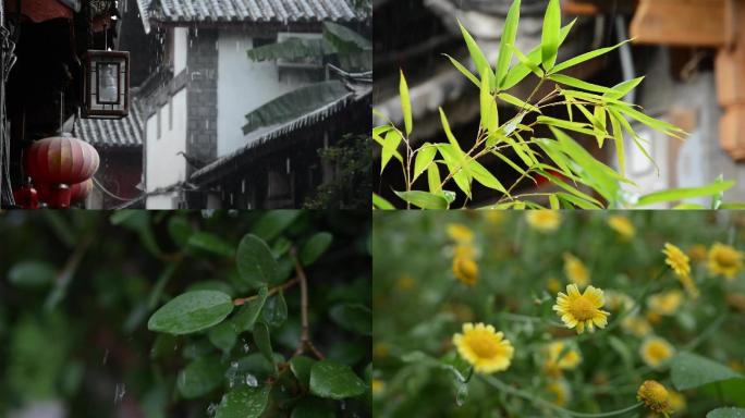 下雨江南古镇夏季骤雨清新竹子绿叶小黄花