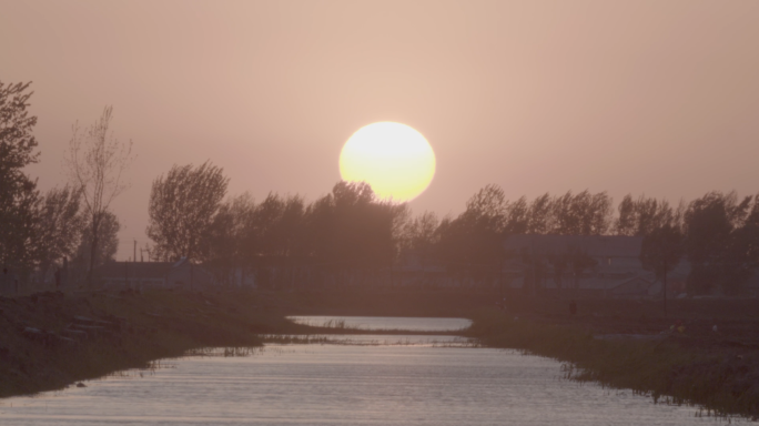 春季大风天气下的河边芦苇夕阳日落LOG