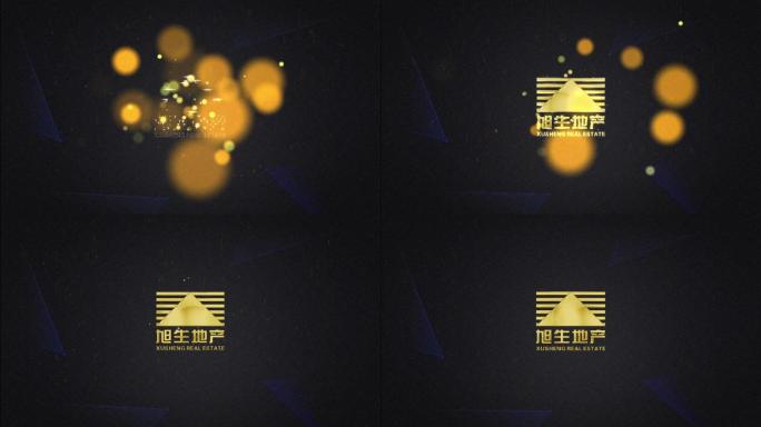 质感地产logo演绎AE模版