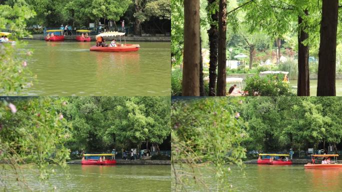 上海公园夏日游船