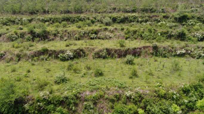 二道川林场山地苗圃