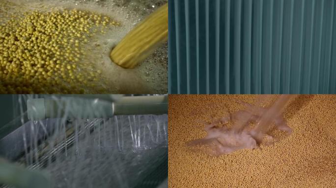 豆制品大豆制作过程