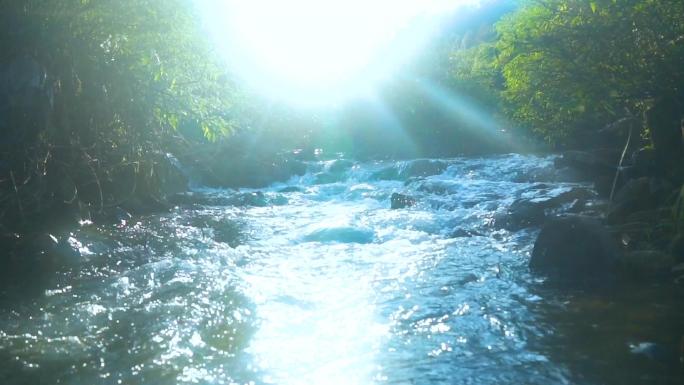 清澈溪流。纯天然泉水山泉矿泉水