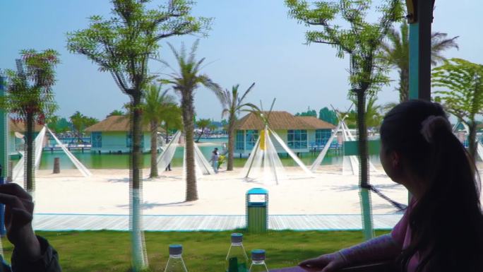 中国马尔代夫“和海”火车窗景，海边椰子树