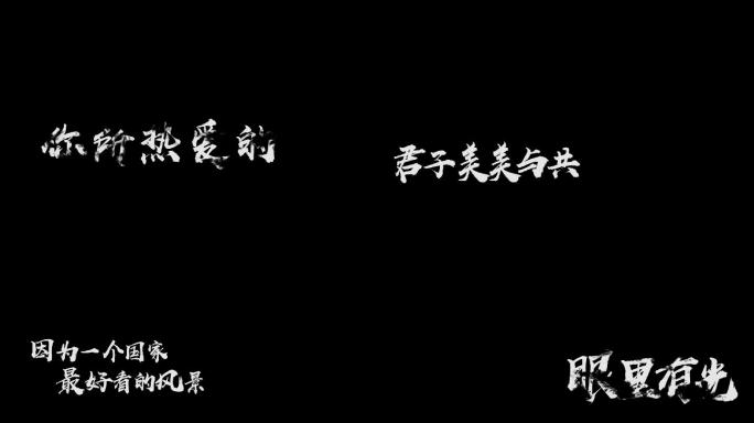 《后浪》文字特效字幕-alpha