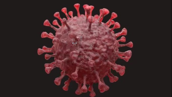 新冠状病毒Coronavirus
