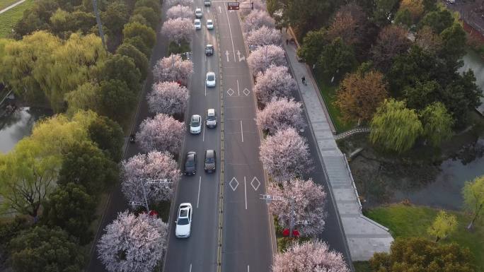 城市马路航拍