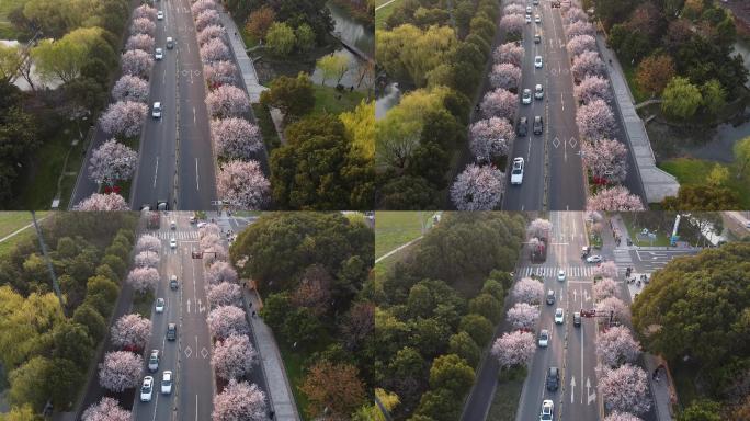 城市马路航拍