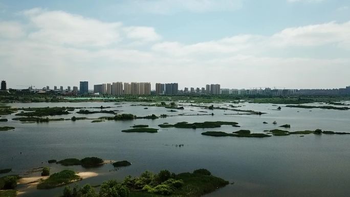 临沂沂河城市湿地