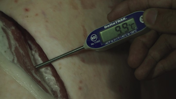 039测试冷冻猪肉的温度