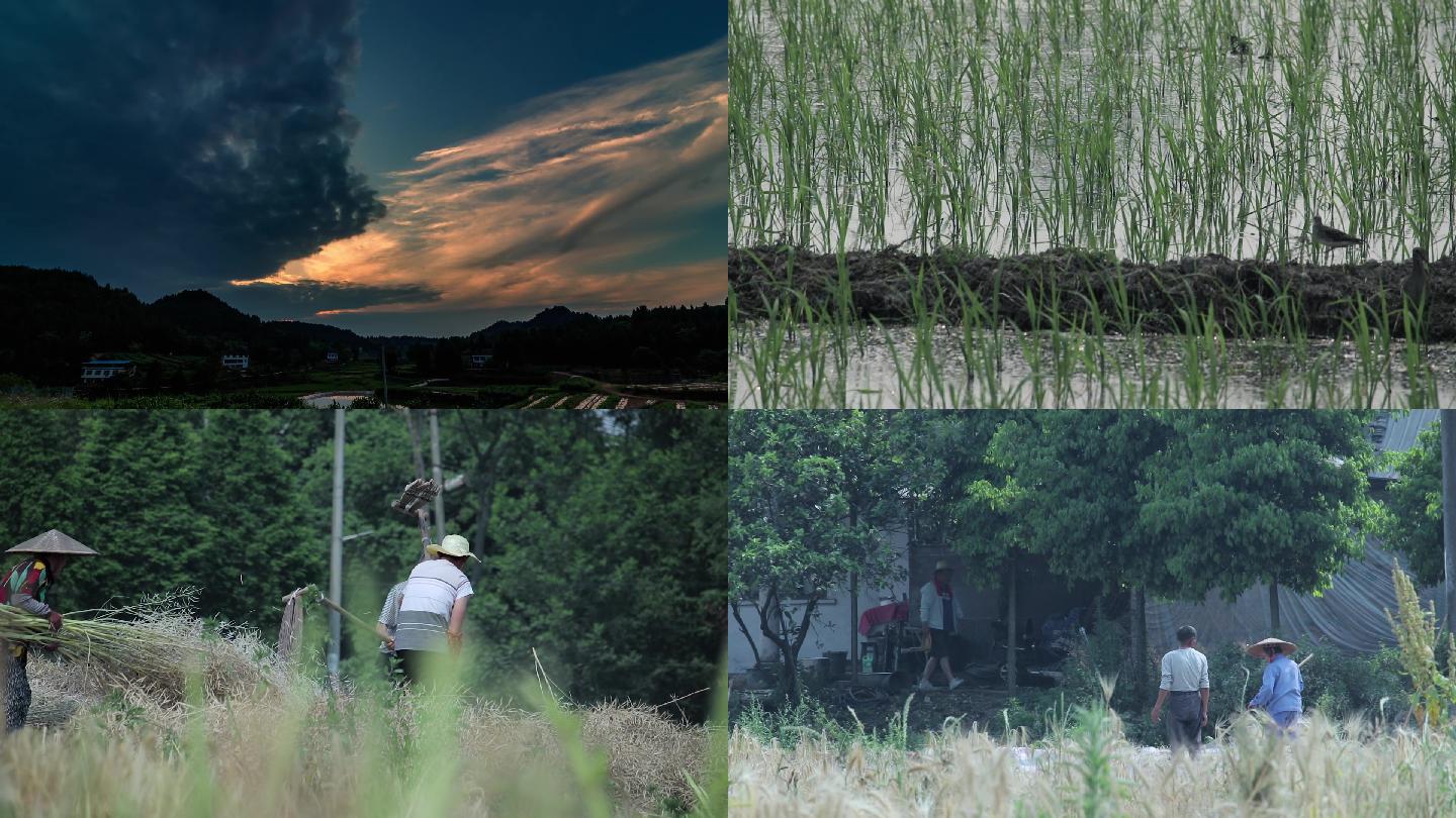 美丽乡村农民劳作素材