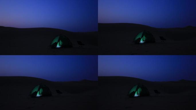 沙漠夜晚帐篷