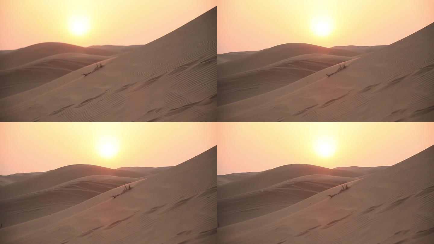 沙漠中夕阳