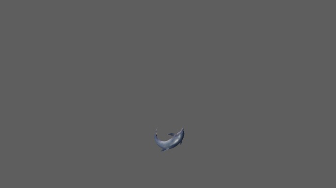 【4K.60帧】—海豚