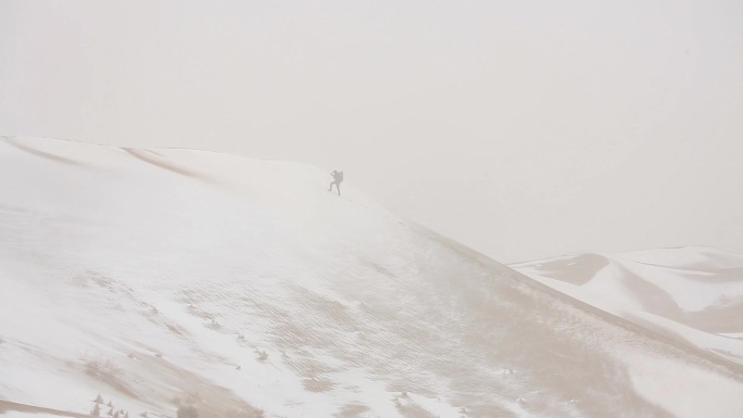 沙漠风雪中的旅人