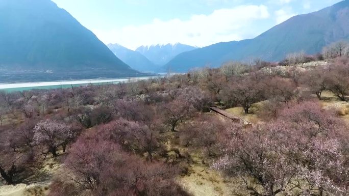 西藏林芝雅尼国家湿地公园高清航拍全景视频