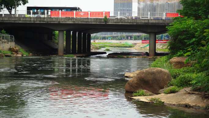 4K圭塘河水体污染