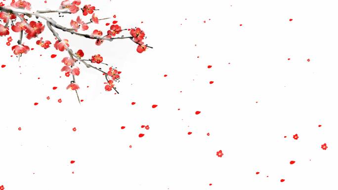 红梅花花瓣飘落透明通道