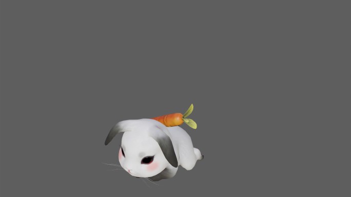 【4K.60帧】—兔子