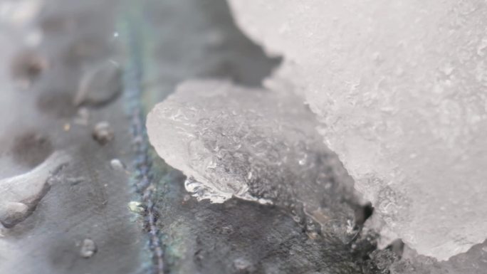 冷冻鲜冻鲅鱼实拍升格素材