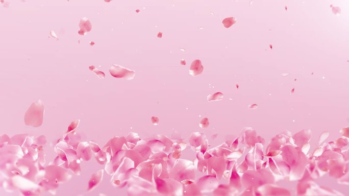 4K浪漫粉色花瓣背景循环
