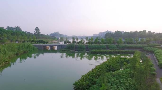 广州天河智慧城大观湿地公园中华公墓航拍