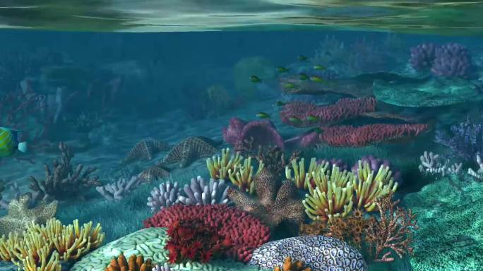 唯美海底珊瑚礁鱼群4K