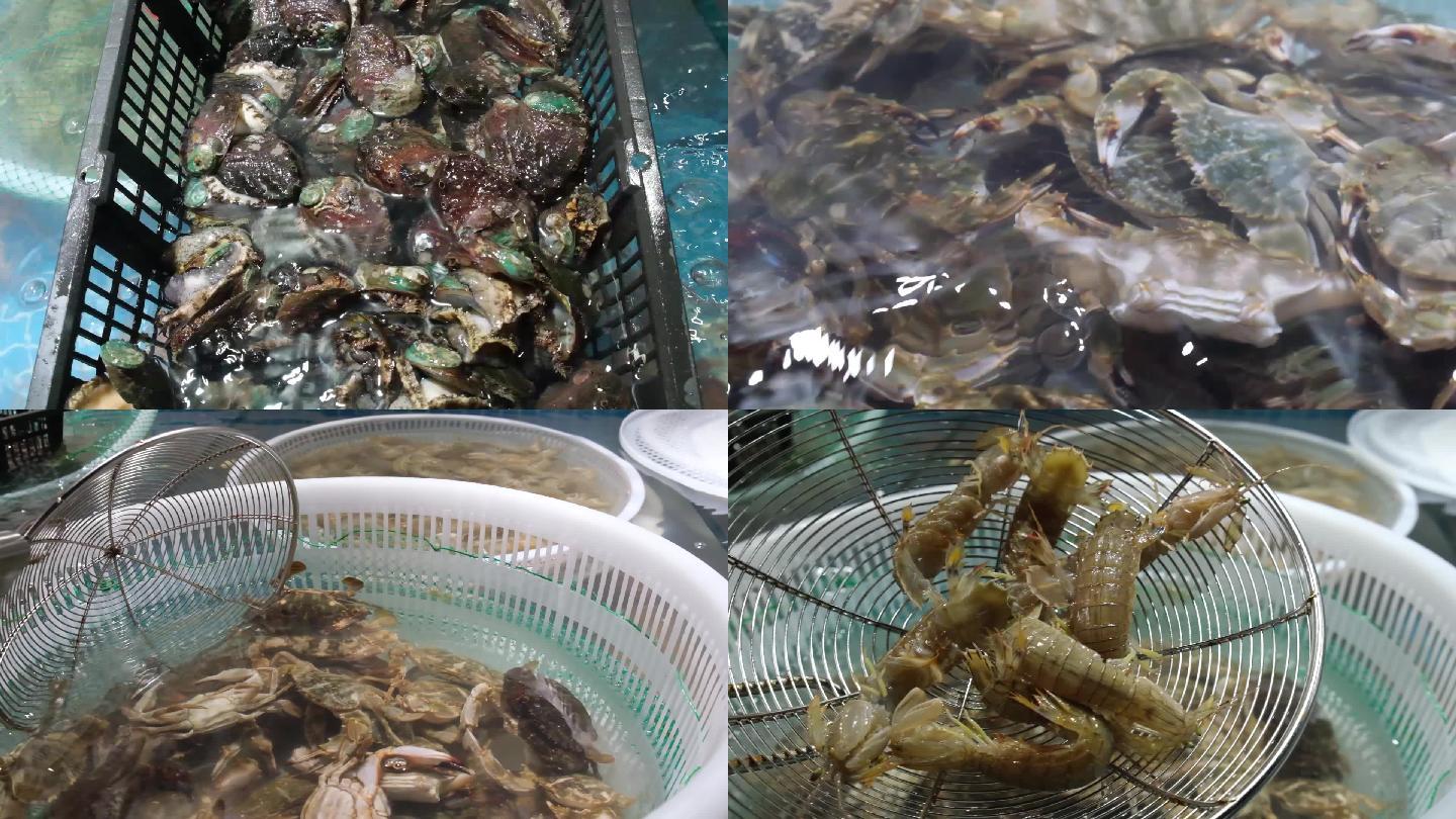 海鲜店的螃蟹寄居蟹皮皮虾鲍鱼慢镜头素材