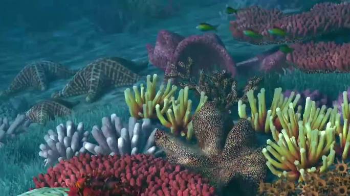 宽屏巨幕4K珊瑚礁海底鱼群