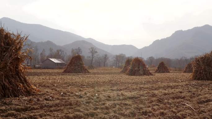 4K小村之恋山村素材