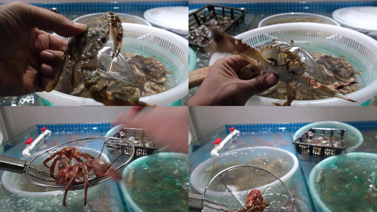 海鲜店水箱中加氧养殖的螃蟹寄居蟹皮皮虾