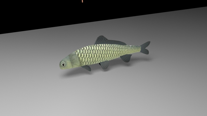 抖音特效飞鱼3D模型（含完整贴图）
