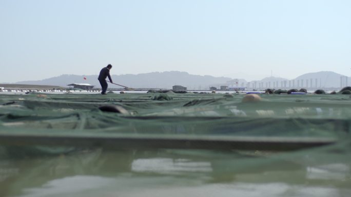 海岸滩涂乐清湾浅滩抓鱼渔夫