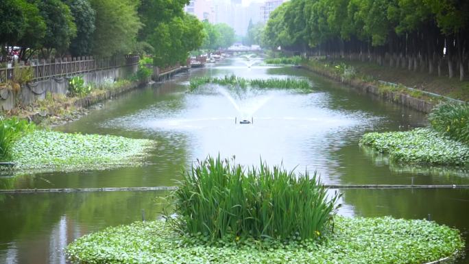 城市河道水系