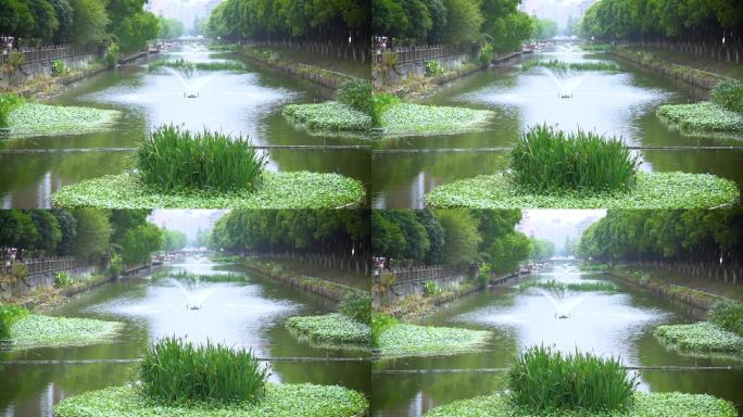 城市河道水系