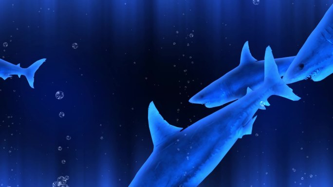 原创4K梦幻鲨鱼岛全息投影