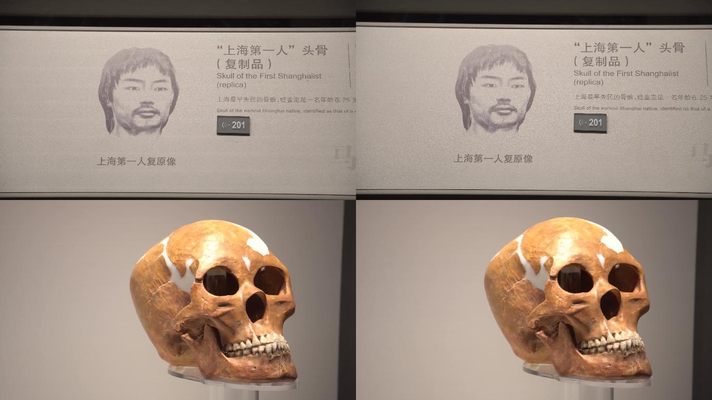 4k上海第一人头盖骨