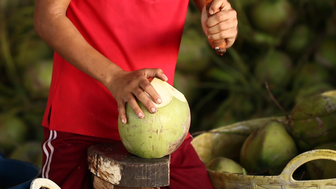 椰子加工包装工厂进口水果