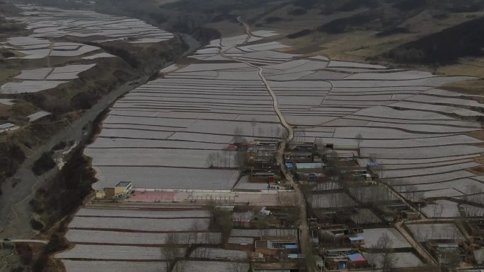 4K青海土豆种植