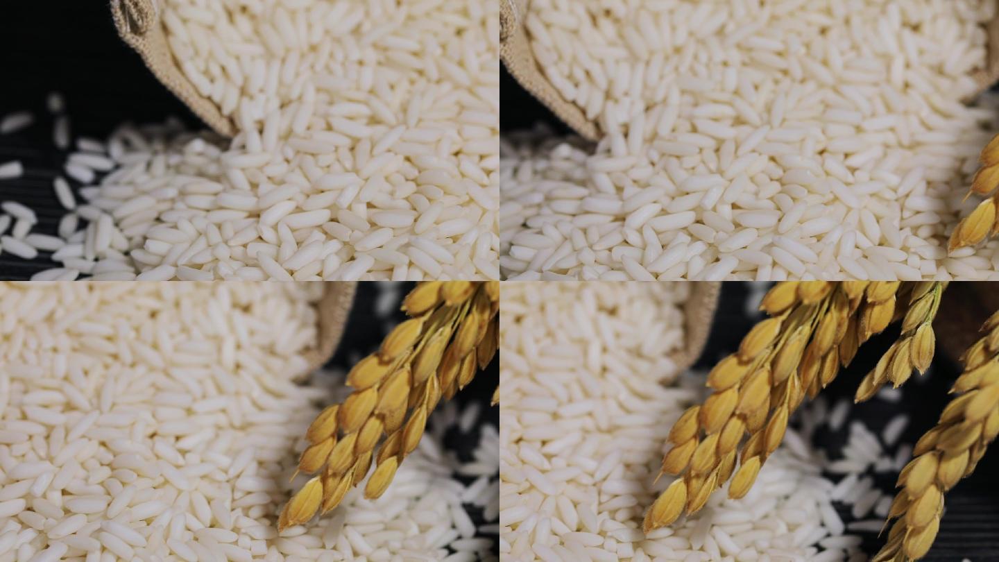 水稻稻穗稻米