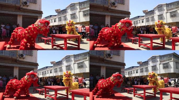 农村节日舞狮子实拍视频