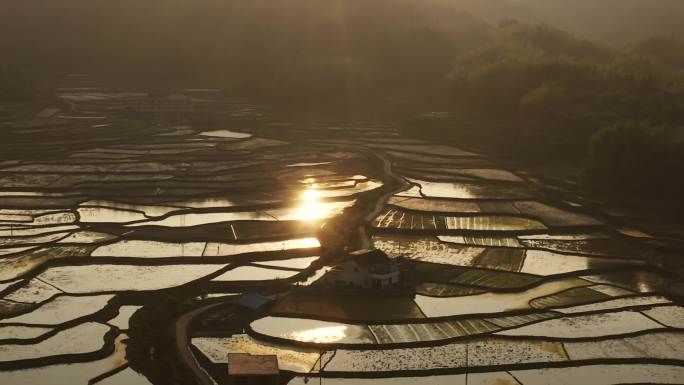 中国农村水田夕阳航拍素材