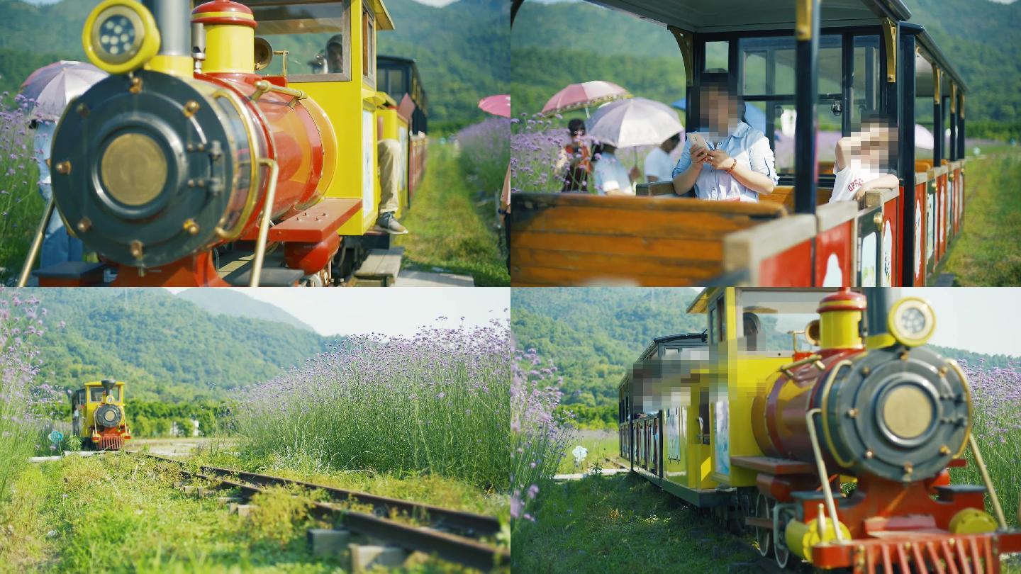景区旅游小火车