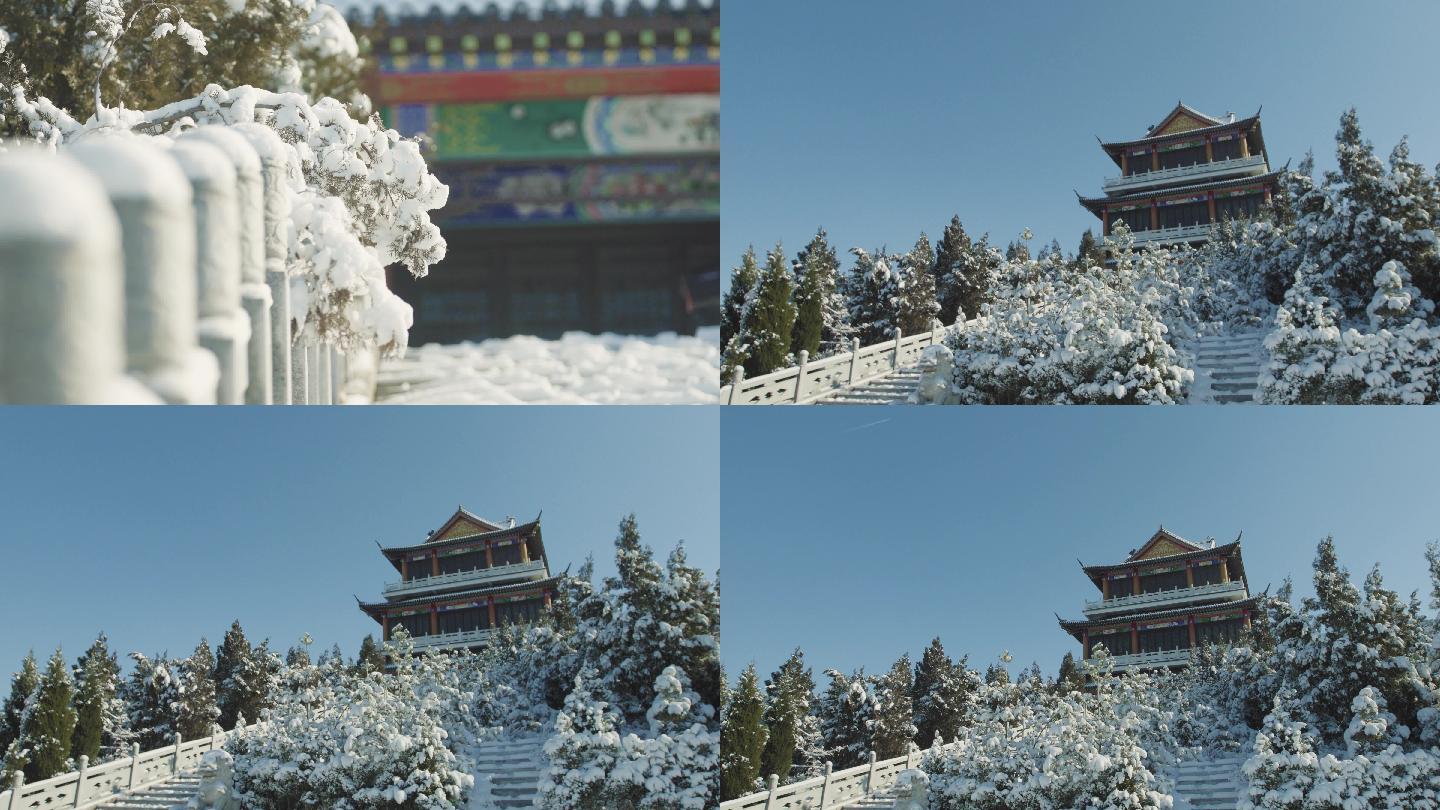 冬天公园雪景雾凇延时高清