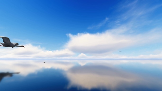 镜面水湖水水鸟白云背景