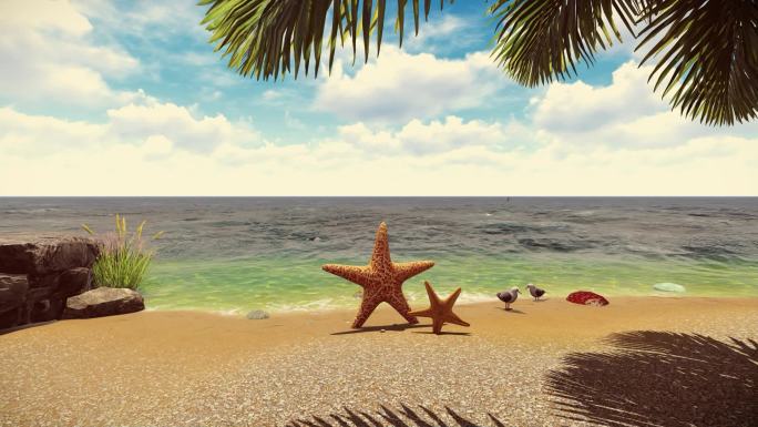 大海沙滩海星